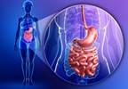 Ghrelin Agonist Decreased Gastric Emptying Time in Women With Anorexia Ghrelin Agonist Decreased Gastric Emptying Time in Women With Anorexia