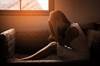 Ketamine: A Promising Agent for Managing Treatment-Resistant Depression Ketamine: A Promising Agent for Managing Treatment-Resistant Depression
