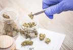 Does Access to Medical Cannabis Reduce Risk for Opioid Abuse? Does Access to Medical Cannabis Reduce Risk for Opioid Abuse?