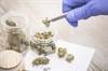 Abstinence From Regular Cannabis Use Improves Memory Among Adolescents, Young Adults Abstinence From Regular Cannabis Use Improves Memory Among Adolescents, Young Adults