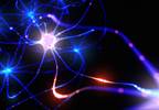 Comorbid Mood Disorders and Neuropathic Pain: Exploring the Connections Comorbid Mood Disorders and Neuropathic Pain: Exploring the Connections