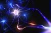 Comorbid Mood Disorders and Neuropathic Pain: Exploring the Connections Comorbid Mood Disorders and Neuropathic Pain: Exploring the Connections
