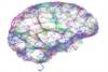 Patients With Major Depressive Disorder May Underestimate Cognitive Abilities Patients With Major Depressive Disorder May Underestimate Cognitive Abilities