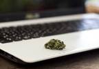 Scale of Online Marketplace for Marijuana Increasing Scale of Online Marketplace for Marijuana Increasing