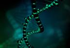 Bias Complicates the Role of Genomics in Biomedical Research Bias Complicates the Role of Genomics in Biomedical Research
