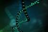 Polygenic Risk Scores Do Not Explain Variation Associated With Genetic Risk for BD, MDD Polygenic Risk Scores Do Not Explain Variation Associated With Genetic Risk for BD, MDD