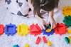Risk for Neurodevelopmental Disorders Increased in Siblings of ADHD Probands Risk for Neurodevelopmental Disorders Increased in Siblings of ADHD Probands