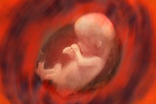 Researchers collected data from a sample of 318 mother-child dyads to examine the effect of Superstorm Sandy on prenatal maternal stress and subsequent early childhood temperament. Researchers collected data from a sample of 318 mother-child dyads to examine the effect of Superstorm Sandy on prenatal maternal stress and subsequent early childhood temperament.