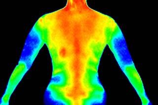 It has been proposed that inflammation stemming from persistent pathogens may influence the development of mood disorders. It has been proposed that inflammation stemming from persistent pathogens may influence the development of mood disorders.