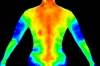Exploring the Link Between Persistent Infection, Inflammation, and Mood Disorders Exploring the Link Between Persistent Infection, Inflammation, and Mood Disorders