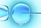 Effects of Male, Female Major Depression on Fertility Treatment Outcomes Effects of Male, Female Major Depression on Fertility Treatment Outcomes
