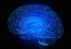 Schizophrenia, Major Depressive Disorder, Bipolar Disorder Linked With Abnormal Functional Connectivity Schizophrenia, Major Depressive Disorder, Bipolar Disorder Linked With Abnormal Functional Connectivity