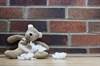 From Abused Child to Serial Killer: Investigating Nature vs Nurture in Methods of Murder From Abused Child to Serial Killer: Investigating Nature vs Nurture in Methods of Murder