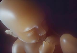 Researchers assessed the potential effect of antenatal antidepressant exposure on child motor development by analyzing data from 18 previously published cohort and case control studies. Researchers assessed the potential effect of antenatal antidepressant exposure on child motor development by analyzing data from 18 previously published cohort and case control studies.