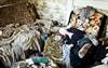 The Psychology of Hoarding Disorder: Approaches for Treatment The Psychology of Hoarding Disorder: Approaches for Treatment