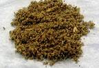 FDA Warns Against Risks of Contaminated Synthetic Cannabis FDA Warns Against Risks of Contaminated Synthetic Cannabis