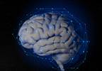 Feeling Young May Be Reflected in Brain Structure Feeling Young May Be Reflected in Brain Structure