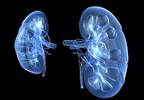 Behavioral Executive Dysfunction Associated With Chronic Kidney Disease Behavioral Executive Dysfunction Associated With Chronic Kidney Disease