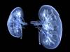 Behavioral Executive Dysfunction Associated With Chronic Kidney Disease Behavioral Executive Dysfunction Associated With Chronic Kidney Disease