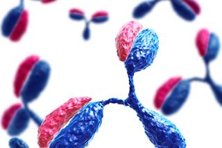 Recent research has identified neuronal autoantibodies as possible biomarkers for predicting treatment response in schizophrenia. Recent research has identified neuronal autoantibodies as possible biomarkers for predicting treatment response in schizophrenia.