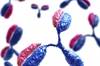 Emerging Research in Psychosis: Can Antibodies Be Used as Biomarkers? Emerging Research in Psychosis: Can Antibodies Be Used as Biomarkers?