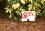 Prenatal Insecticide Exposure in Mother May Be Linked to Risk for Autism in Children Prenatal Insecticide Exposure in Mother May Be Linked to Risk for Autism in Children