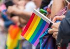 Suicide Attempt Risk Among LGB Populations Higher Than Previously Estimated Suicide Attempt Risk Among LGB Populations Higher Than Previously Estimated