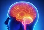 History of ADHD Associated With Increased Risk for Basal Ganglia and Cerebellum Disorders History of ADHD Associated With Increased Risk for Basal Ganglia and Cerebellum Disorders