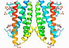 Education, Inflammation Predict Cognitive Performance in Bipolar Disorder Education, Inflammation Predict Cognitive Performance in Bipolar Disorder